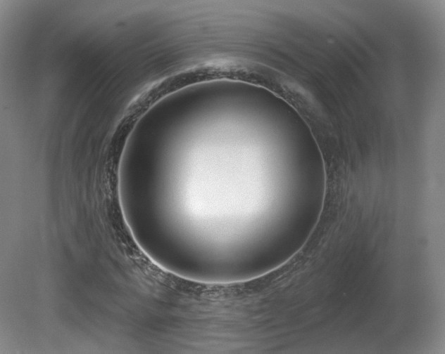 X0000081600776200701151338