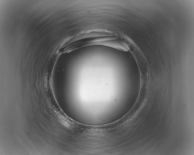X0000081600777200701151338