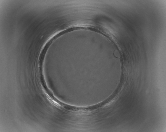 X0000081600779200701151338