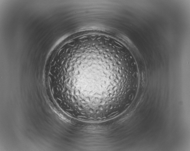 X0000081600780200701151338
