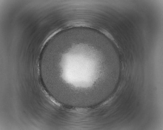 X0000081600782200701151338