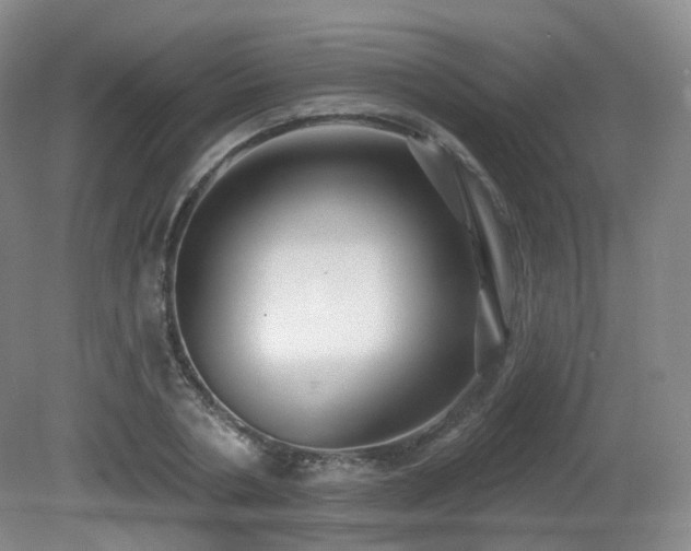 X0000081600786200701151338