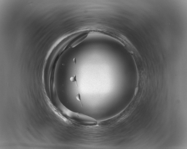 X0000081600788200701151338