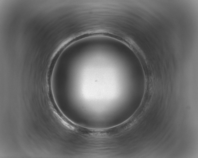 X0000081600789200701151338