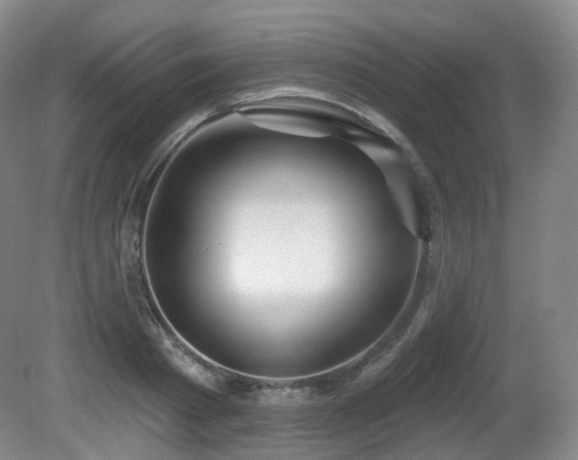 X0000081600793200701151338