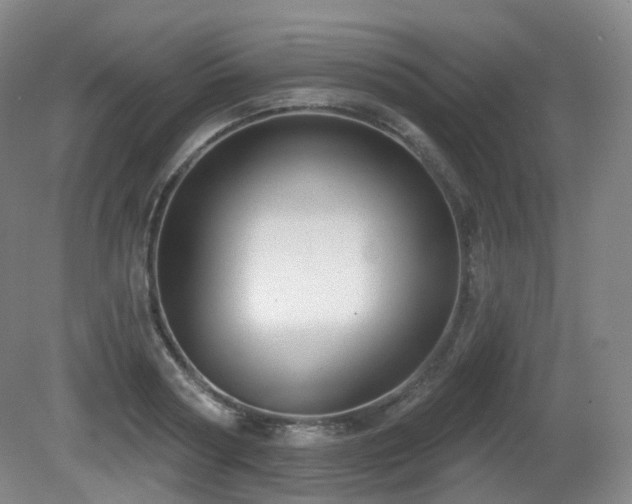 X0000081600794200701151338