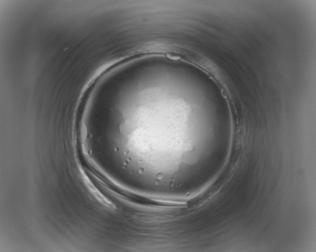 X0000081600795200701151338