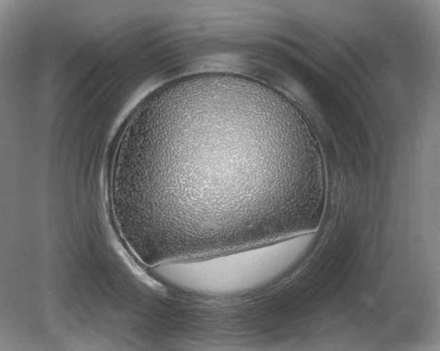 X0000081600796200701151338