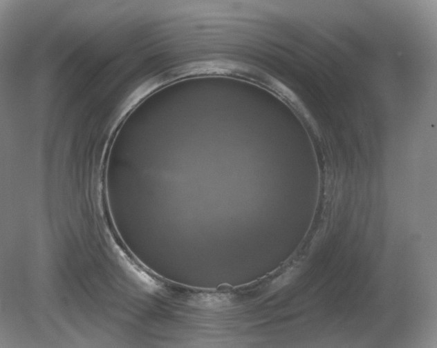 X0000081600802200701151337