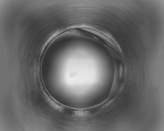 X0000081600805200701151337