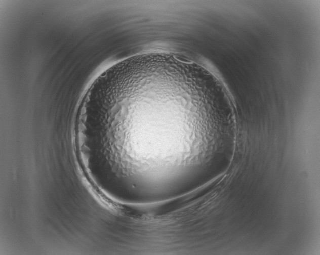 X0000081600811200701151337