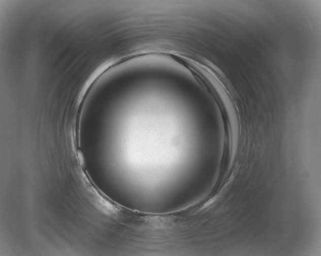 X0000081600812200701151337