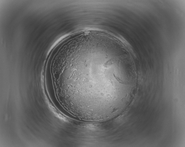 X0000081600814200701151337