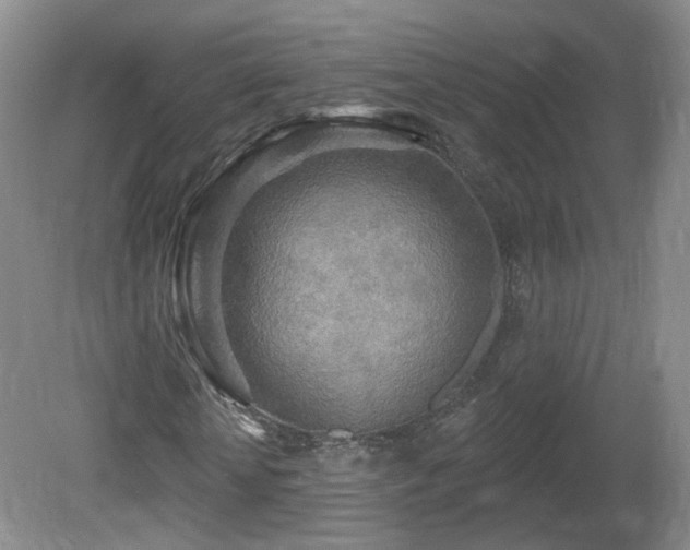 X0000081600818200701151336
