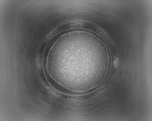 X0000081600819200701151336