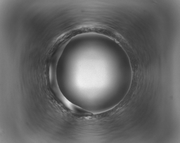 X0000081600822200701151337