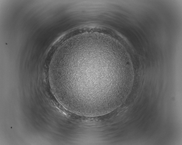 X0000081600823200701151337