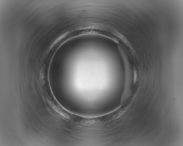 X0000081600826200701151337