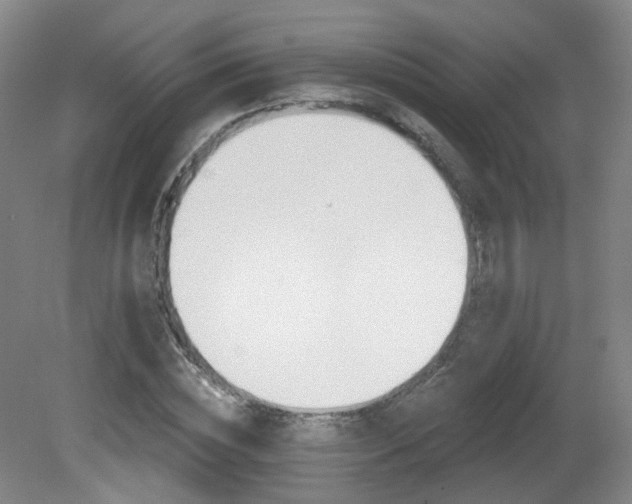 X0000081600828200701151337