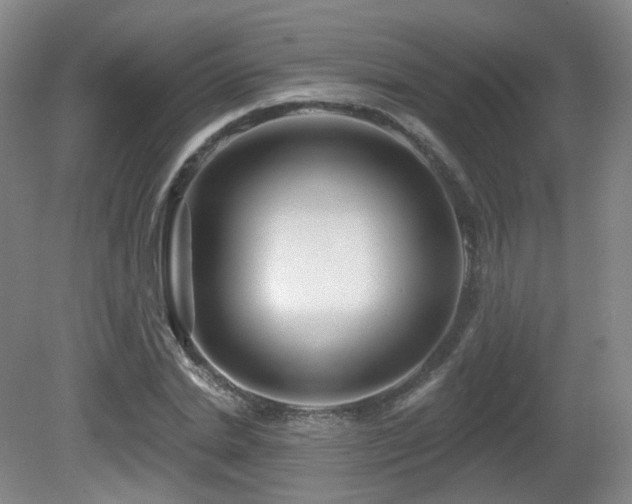 X0000081600830200701151337
