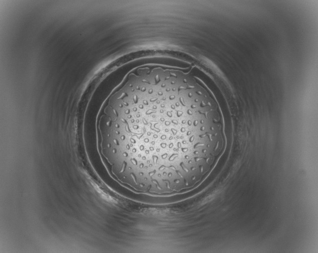 X0000081600831200701151337