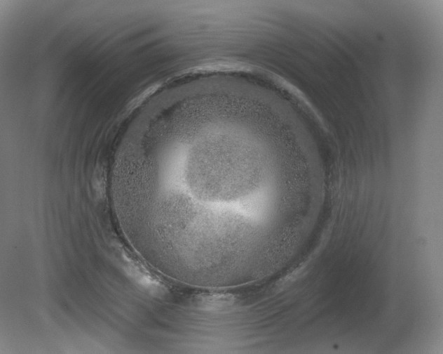 X0000081600833200701151337