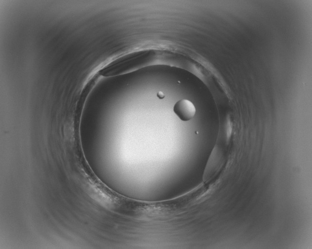 X0000081600834200701151337