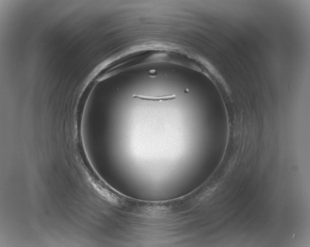 X0000081600837200701151337