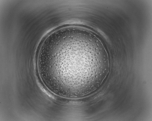 X0000081600840200701151337