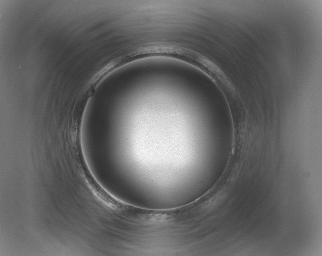 X0000081600841200701151337