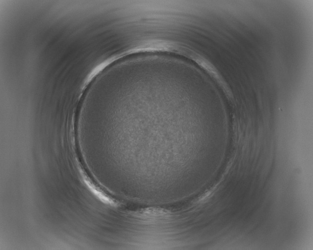 X0000081600842200701151337
