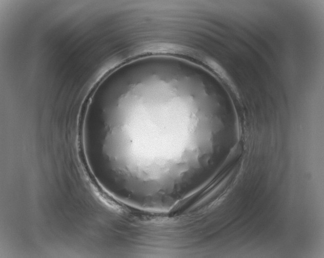 X0000081600845200701151337