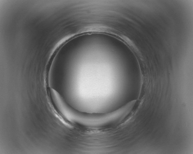 X0000081600846200701151337