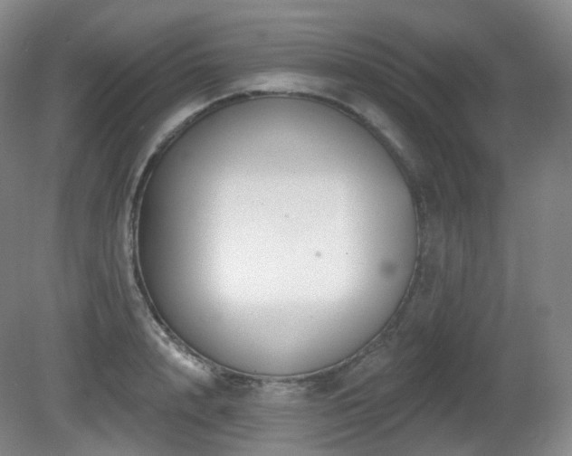 X0000081600848200701151337