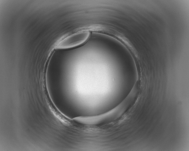 X0000081600850200701151337