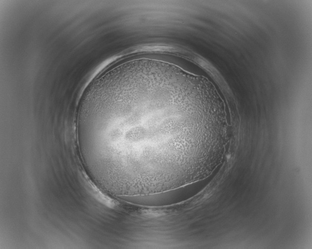 X0000081600852200701151337