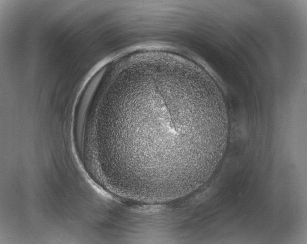 X0000081600853200701151337