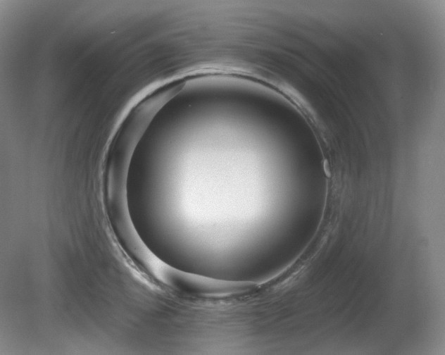 X0000081600854200701151337