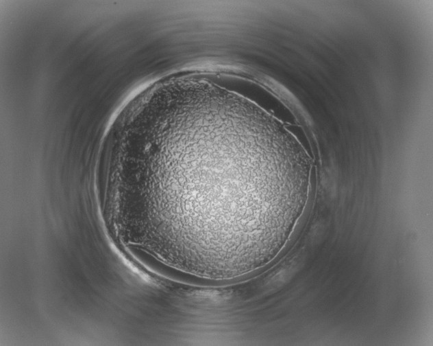 X0000081600855200701151337