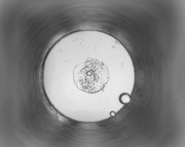 X0000081600856200701151337