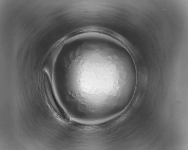 X0000081600857200701151337