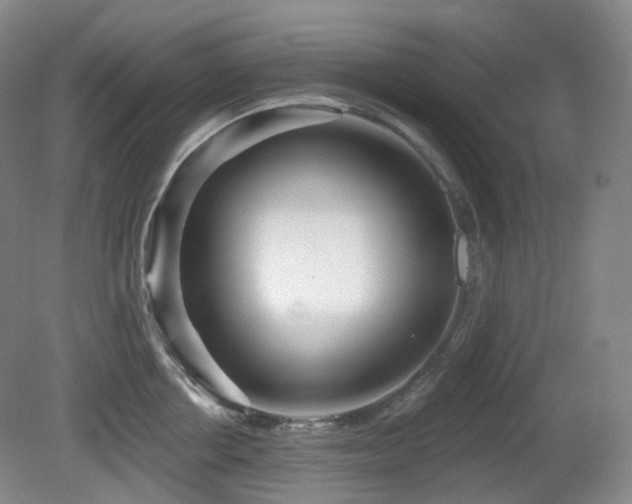 X0000081600858200701151337