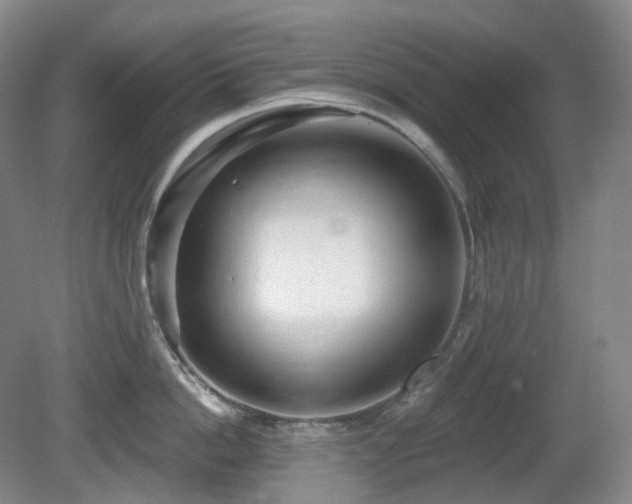 X0000081600862200701151337