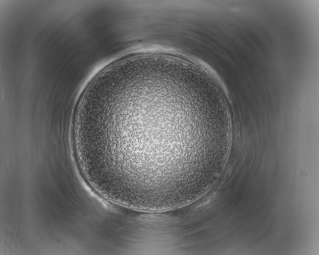 X0000081600863200701151337
