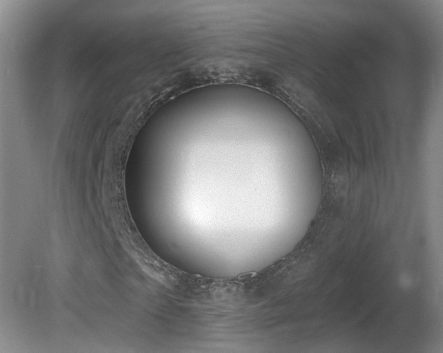 X0000081600865200701151336