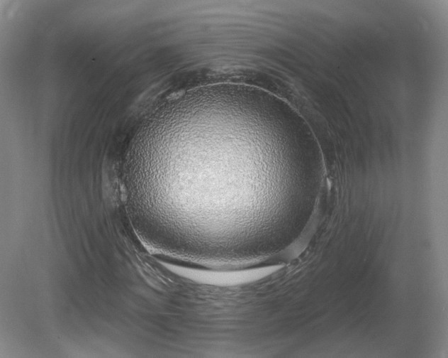 X0000081600868200701151336