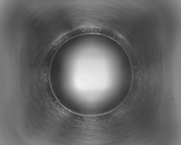 X0000081600870200701151336