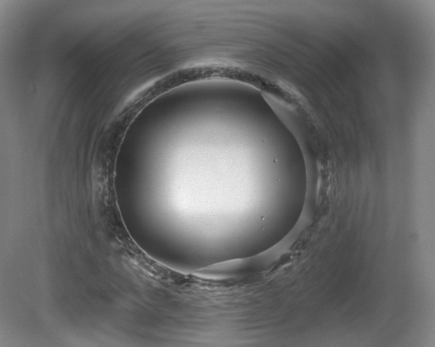 X0000081600872200701151336
