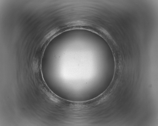 X0000081600873200701151336