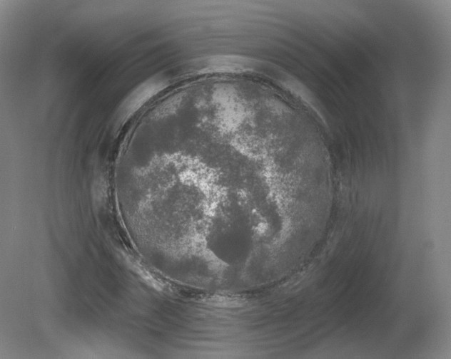 X0000081600874200701151336